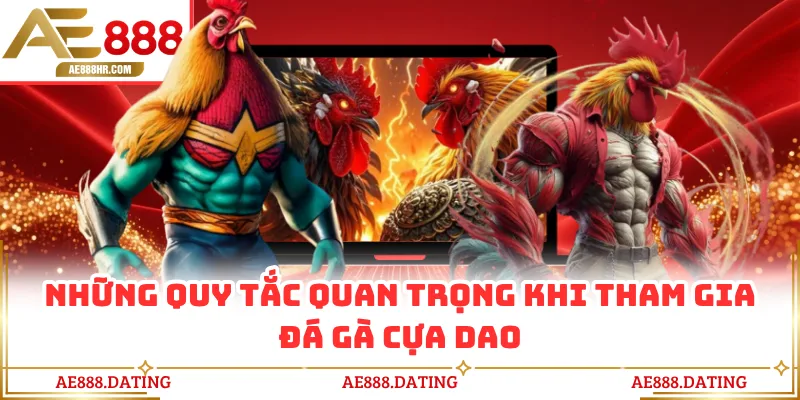 Những quy tắc quan trọng khi tham gia đá gà cựa dao